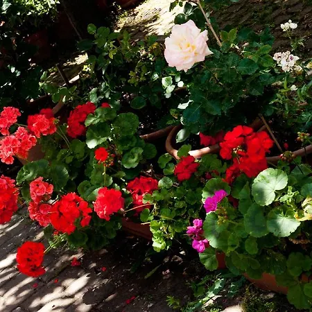 فندق La Toscana *